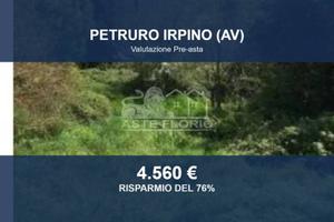 Immobile in asta di 4071 m² a Petruro Irpino