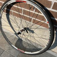 Ruota Dt Swiss Tricon cerchio anteriore