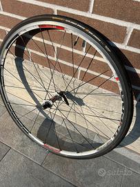 Ruota Dt Swiss Tricon cerchio anteriore