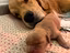Immagine 9