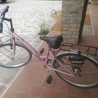 bicicletta rosa bottecchia 24