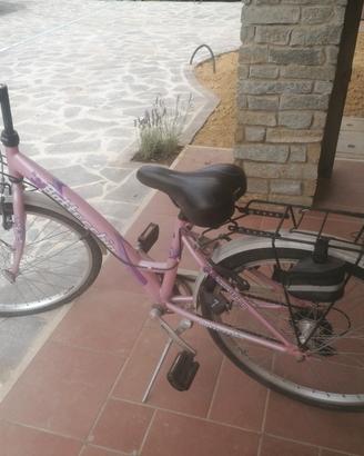 bicicletta rosa bottecchia 24