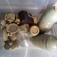 Ciotoline verdi giapponesi