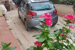 Citroen C3 2010 D Esclusive