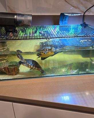Acquario Zolux 60