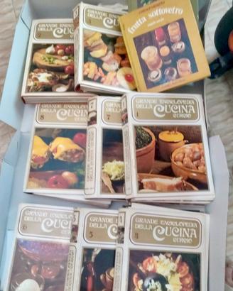 Grande enciclopedia della cucina- curcio