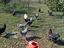 Immagine 1