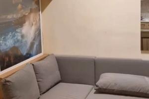 FLAMINIO MONOLOCALE ARREDATO Ben COLLEGATO