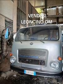 leoncino OM
