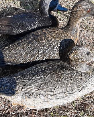 Stampi uccelli acquatici