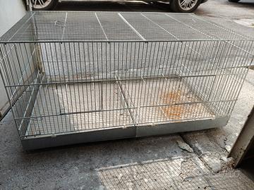 gabbia per uccelli 