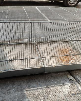 gabbia per uccelli 