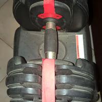 Manubri Regolabili 24Kg ( ciascuno ) - palestra