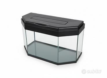 Acquario Panoramico Design Curvo 150 L