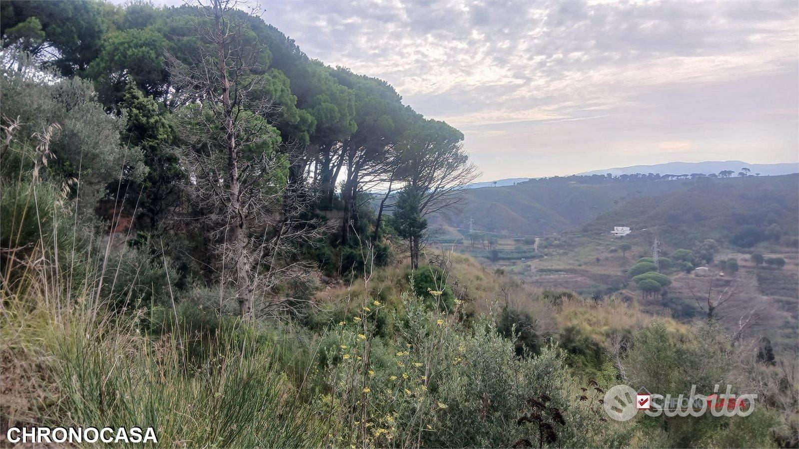 Castanea, terreno con rudere - Vista 3