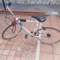 Bici chiorda 24