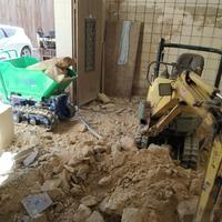 Pulire letami animali . stalle, cucce, allevamenti