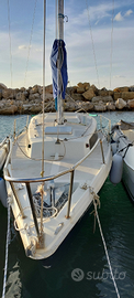 Barca a vela Daimio 23