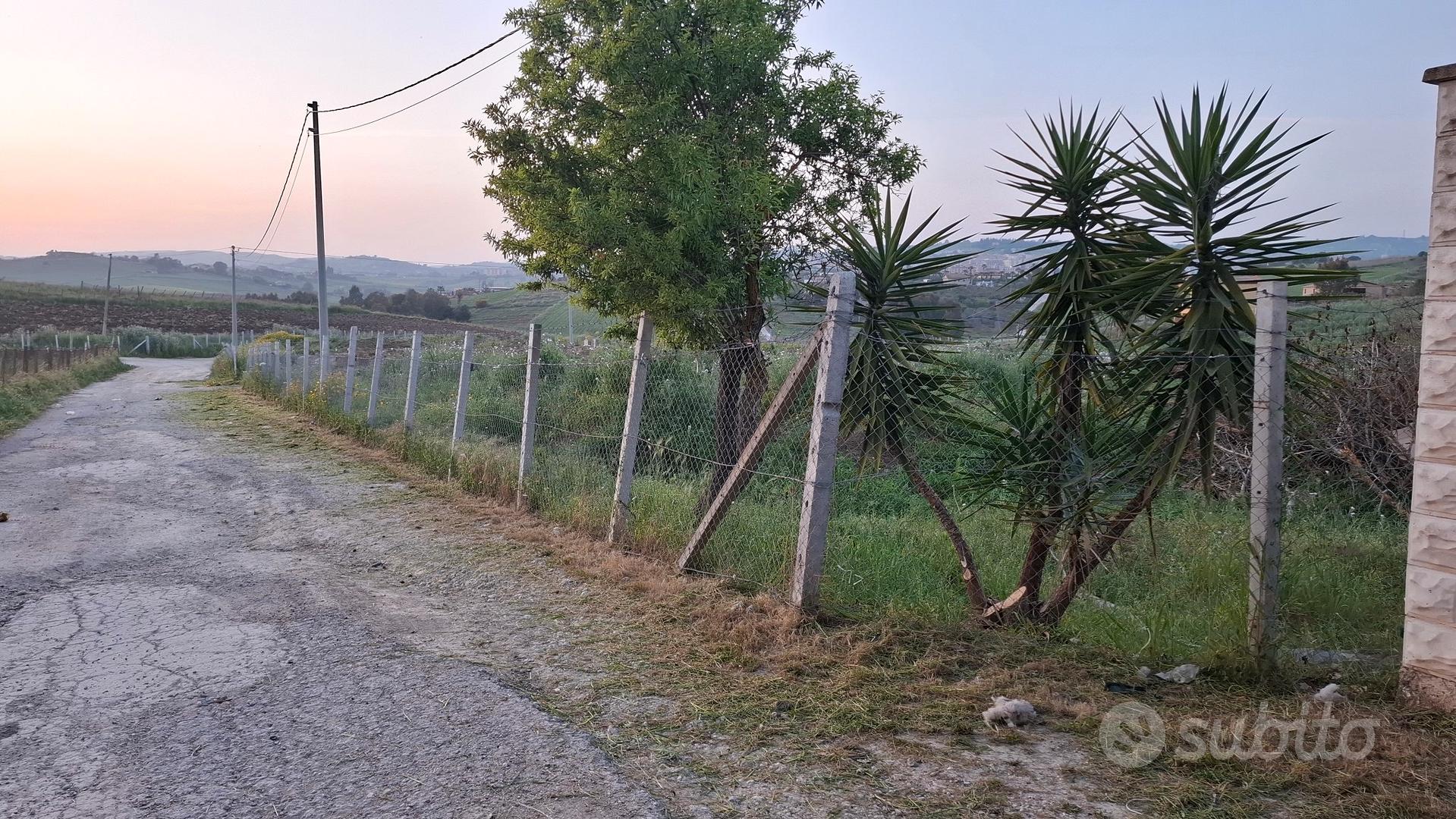 Terreno contrada Giuliana - Vista 3