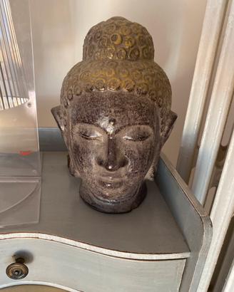 Testa di buddha
