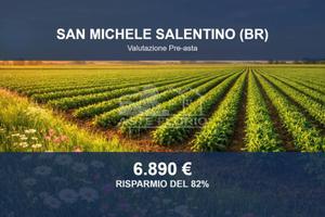 Immobile in asta di 13998 m² a San Michele Salenti