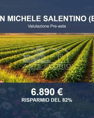 Immobile in asta di 13998 m² a San Michele Salenti