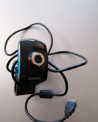 VIDEOCAMERA CANYON PER COMPUTER
