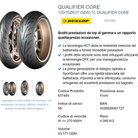 coppia pneumatici dunlop 120/70/17 - 180/55/17