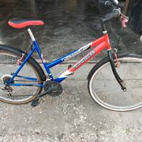 Bicicletta ragazzo / ragazza