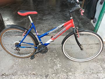 Bicicletta ragazzo / ragazza