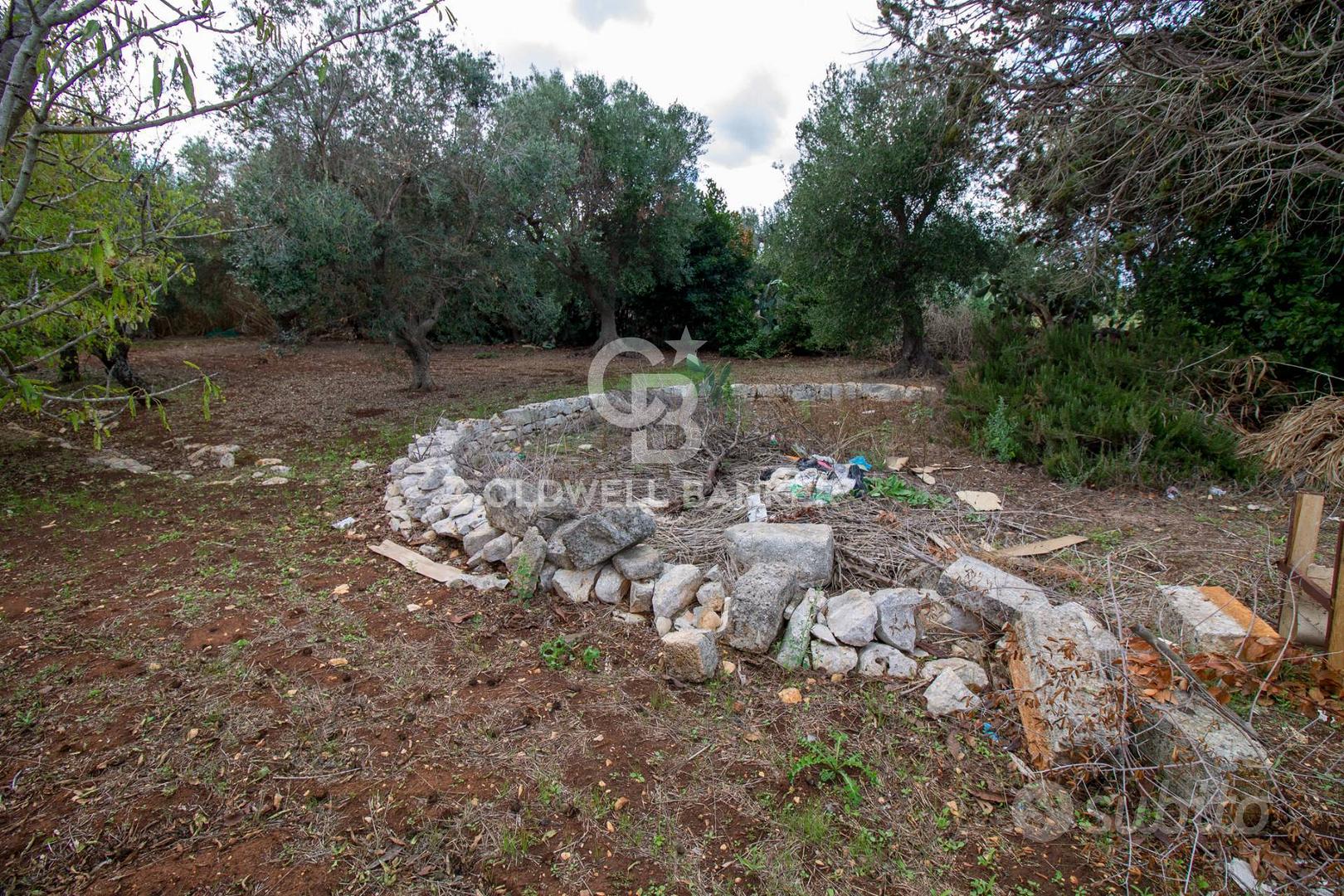 Rustico/Casale/Corte - Ostuni - Altro
