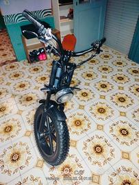 bicicletta elettrica 