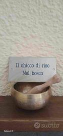 Casina nel bosco Monte Amiata