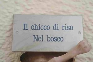 Casina nel bosco Monte Amiata