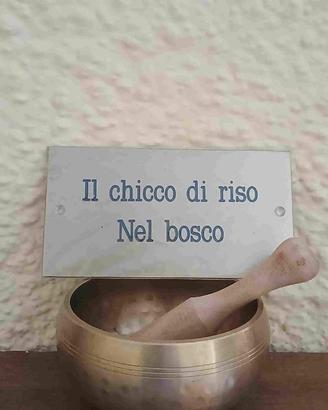 Casina nel bosco Monte Amiata