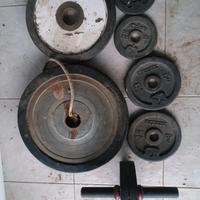 attrezzi pesi per palestra