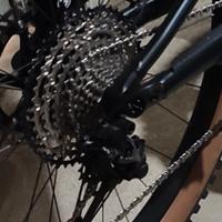 Focus mountain bike 