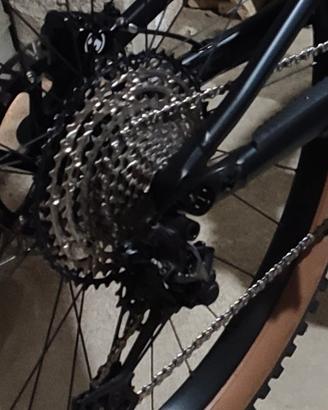 Focus mountain bike 