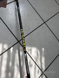 Canna da pesca e oggetti dapedca