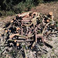 Legna da Ardere , camini, stufe...