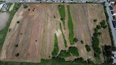 TER. AGRICOLO A PISA