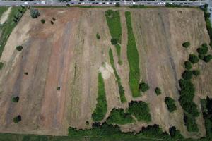 TER. AGRICOLO A PISA