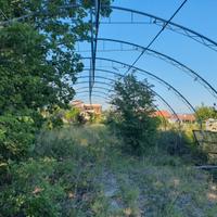 Serra 20 x 10 struttura in ferro zincato