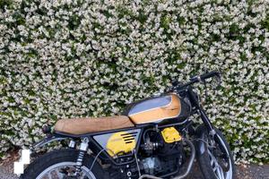 Moto Guzzi V 65 Cafè Racer - 1984