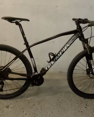 Mtb Olympia Drake 29
