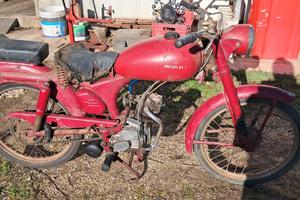 Ducati T65 del 1955