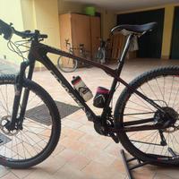 Mtb Olympia Iron in carbonio