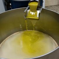 uliveto in tavola 2025/26