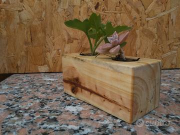 Centrotavola per 2 piccole piante grasse in legno