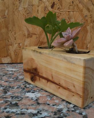 Centrotavola per 2 piccole piante grasse in legno